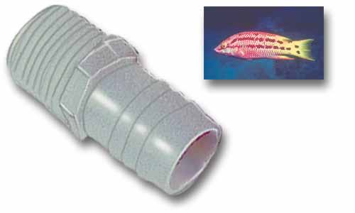 Tüllen Lilie - Vesi- ja viemariletkut - 9971783 - 1